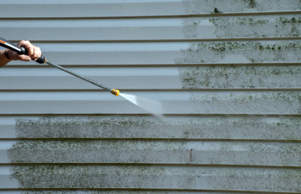 Best Roof Pressure Washing  in Presidio, TX
