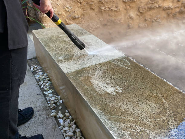 Best Roof Power Washing Services  in Presidio, TX