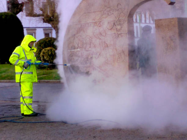 Best Roof Power Washing Services  in Presidio, TX