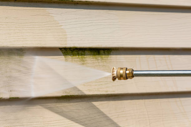 Best Residential Pressure Washing Services  in Presidio, TX