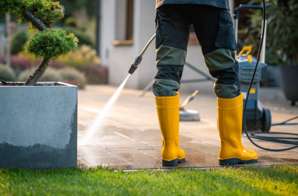 Best Residential Pressure Washing Services  in Presidio, TX